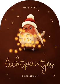 Lieve kerstkaart roodborstje lichtpuntjes voor jou
