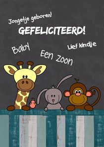 Baby geboren jongen - dieren HB