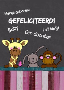 Baby geboren meisje - dieren HB