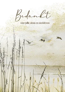 Bedankkaart duinen vogelvlucht