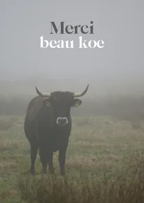 Bedankkaartje met 'Merci beau koe' foto 