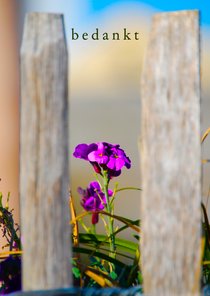 Bedankt voor alles wat je voor me doet