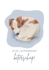 Beterschaps kaart met slapend hondje