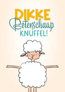 Beterschapskaart dikke knuffel van hip vrolijk schaapje