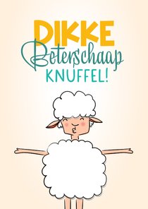 Beterschapskaart dikke knuffel van hip vrolijk schaapje