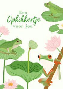 Beterschapskaart een opkikkertje voor jou