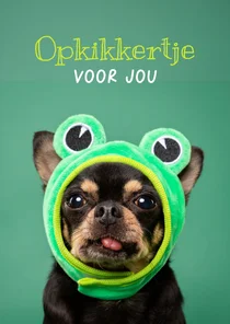 Beterschapskaart hondje met grappig kikkermutsje op