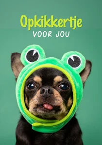 Beterschapskaart hondje met grappig kikkermutsje op