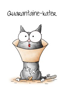 Beterschapskaart kat - Quarantaine-kater