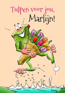 Beterschapskaart leuk opkikkertje tulpen andere bloemen