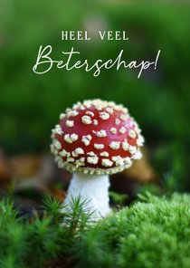 Beterschapskaart met herfst natuur foto van een paddenstoel