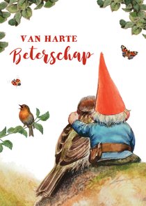 Beterschapskaart met kabouter en vogel