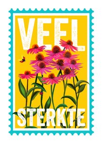 Beterschapskaart met roze bloemen in een postzegel