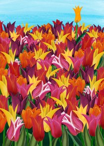 Beterschapskaart met tulpen (zonder tekst)