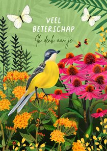 Beterschapskaart met vogel en vlinders