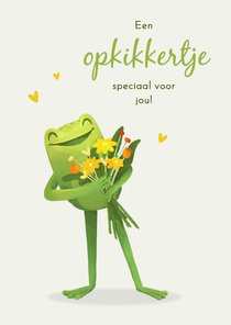 Beterschapskaart opkikkertje bloemen kikker grappig