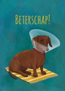 Beterschapskaart teckel