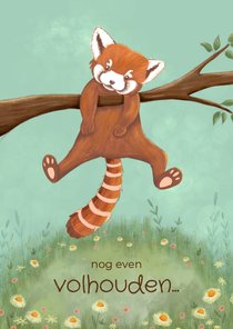 Beterschapskaart voor kind met rode panda