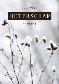 Beterschapskaart winter met plant in de sneeuw