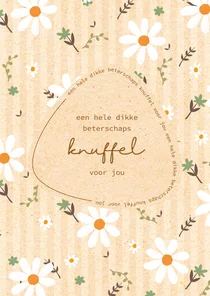Beterschapsknuffel - flowers and stripes - beterschapskaart