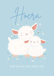 Blauw felicitatiekaartje geboorte lammetje schaap bijtje