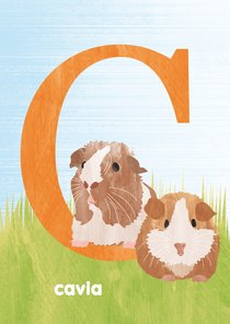C van cavia