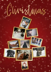 Collage kerstkaart kerstboom rood  en goud voor 10 foto's