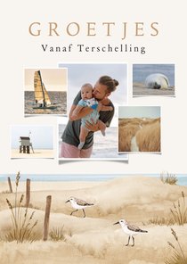 Collagekaart vakantie strand zee vogels dieren landschap