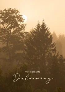 Condoleancekaart bos met zonsopkomst