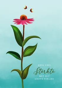 Condoleancekaart met bloem en lieveheersbeestjes