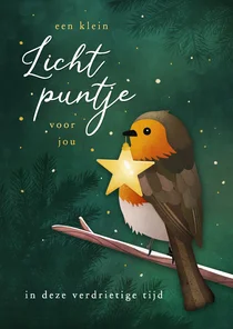 Condoleancekaart met roodborstje met lichtpuntje