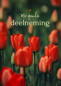 Condoleancekaart rode tulpen met oprechte deelneming