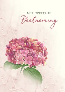 Condoleancekaart roze hortensia