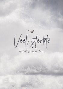 Condoleancekaart veel sterkte wolken vogel grijs
