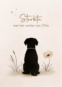 Condoleancekaart verlies hond met mooie bloemen en sterren