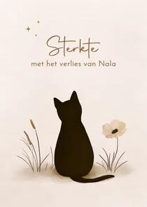 Condoleancekaart verlies kat met mooie bloemen en sterren