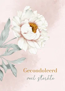 Condoleancekaart witte pioenroos