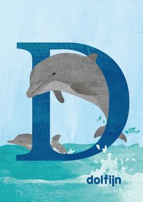 D van dolfijn