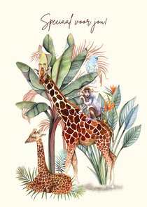 Dieren giraffes jungle