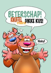 Een grappige beterschapskaart met twee beren en knuffel