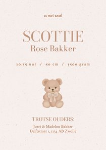 Enkel geboortekaartje met lief beertje beige 