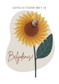 Felicitatie belijdenis met zonnebloem vlinder bijbeltekst