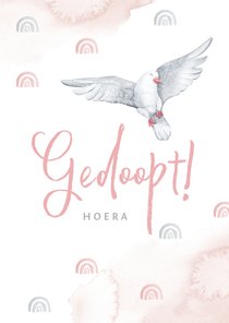 Felicitatie doopsel meisje witte duif regenboogjes roze