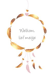 Felicitatie -Dromenvanger meisje