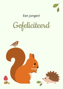 Felicitatie - Eekhoorn met egel en vogel