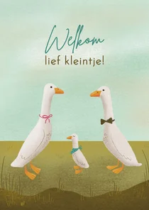 Felicitatie geboorte jongen loopeendjes in pastelkleuren