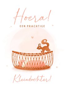Felicitatie geboorte kleindochter rotan wiegje en eekhoorn