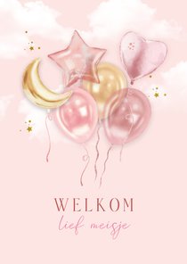 Felicitatie geboorte meisje leuke ballonnen