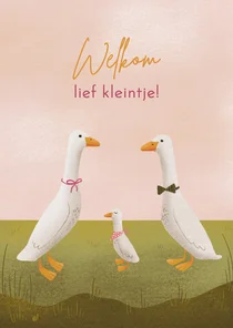 Felicitatie geboorte meisje met loopeendjes in pastelkleuren