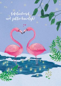 Felicitatie huwelijk, flamingo's